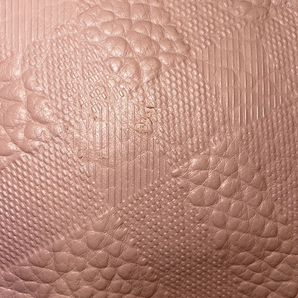 Authentic Burberry Grain Check Crossbody pale orchid - Picture 14 of 14